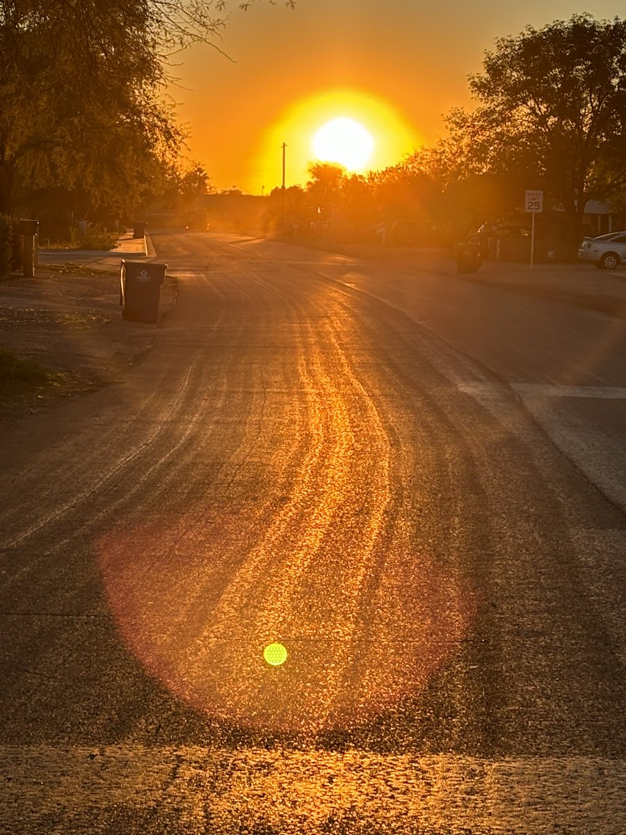Sun was bright looking down my street🔥💫🤩