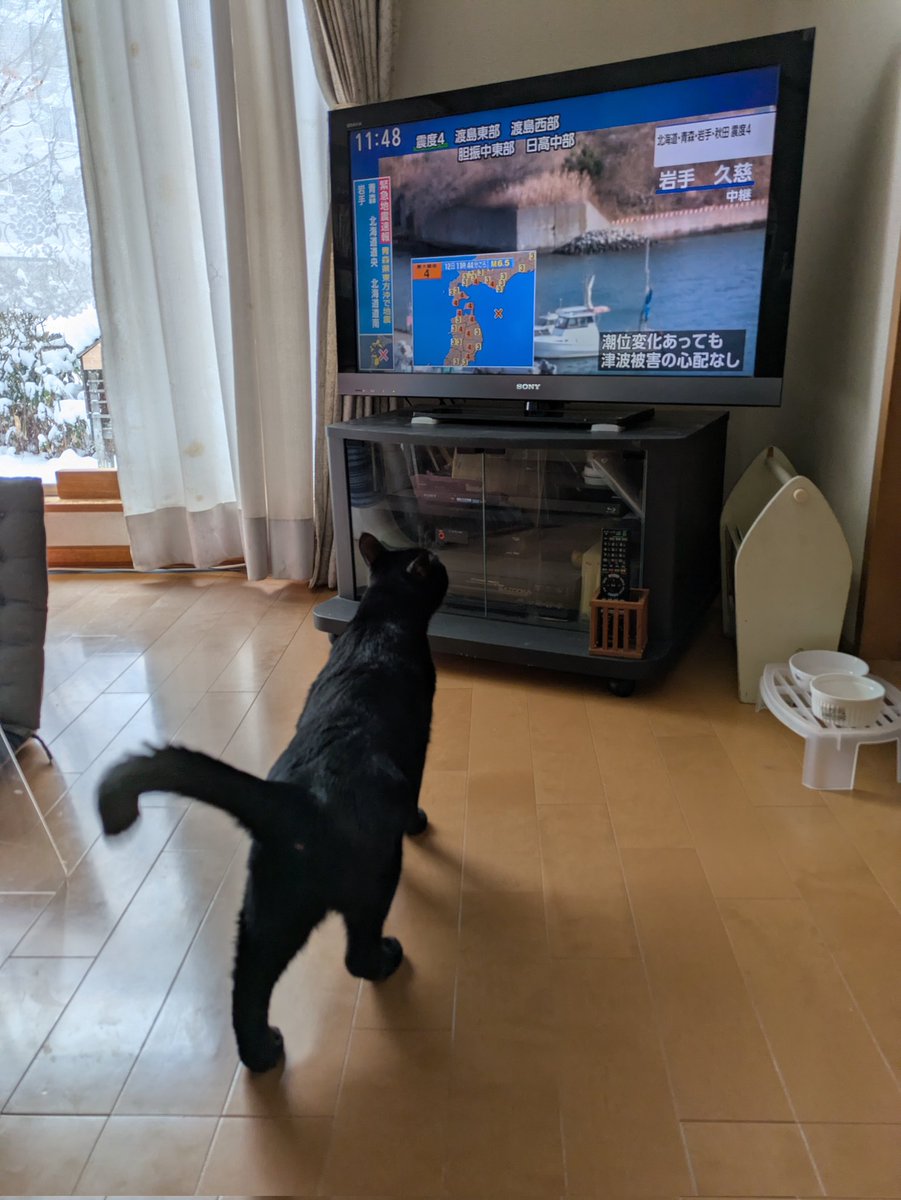 みー (@miiko_kuroneko) / Posts / X