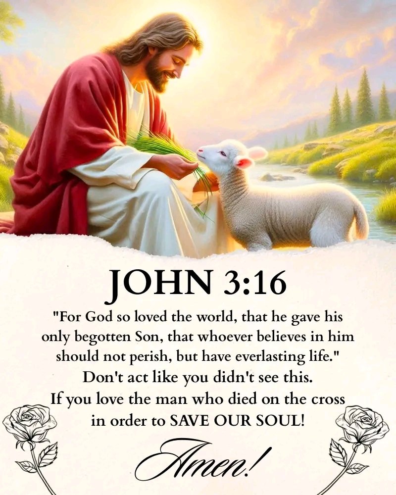 Holy Bible (@holy__bible1) on Twitter photo 