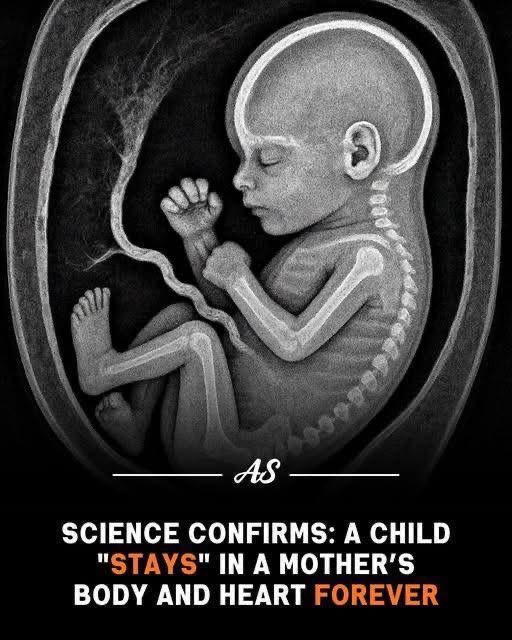 MrPitbull07's tweet image. When a woman is pregnant, something incredible happens... some of her baby’s cells actually move into her bloodstream and remain in her body for many years. Scientists have found that these tiny cells don’t just stay there, they can even help heal the mother if she is injured,…