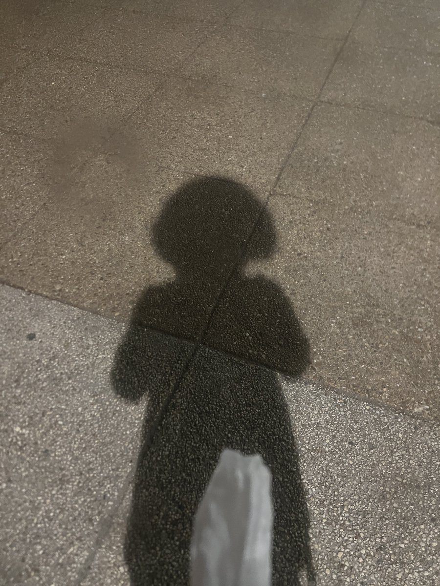 minionbreeder's tweet image. seeing my shadow was almost enough to get me to take my hood off #fluff