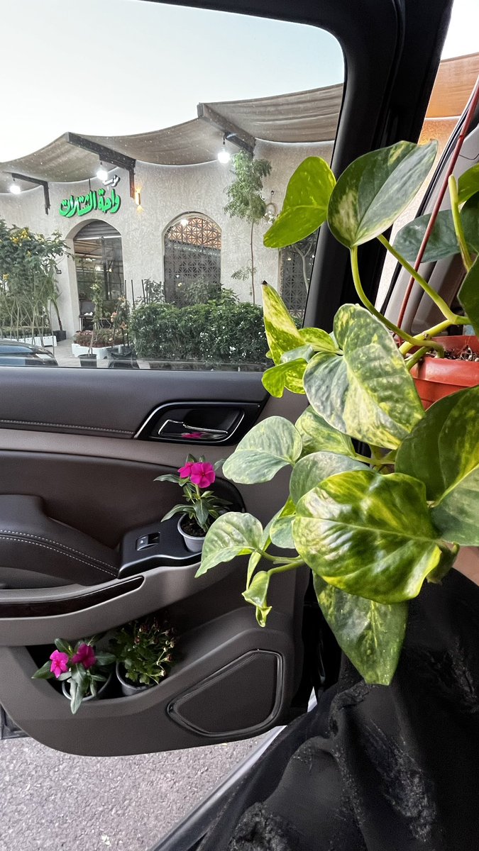 عصريات 
المشتل