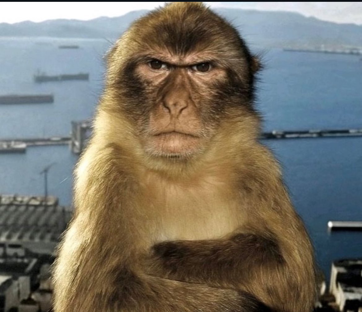 hewdevil's tweet image. sinirden bir yumak saçımı yoldum