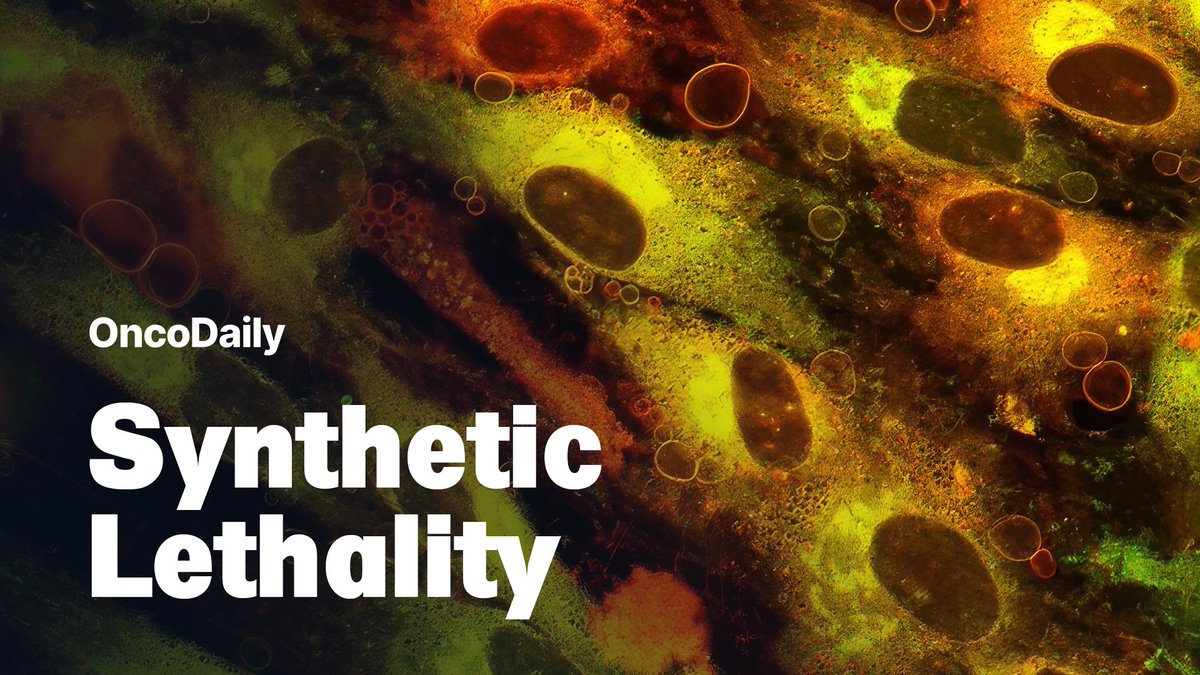 oncodaily's tweet photo. A detailed look at synthetic lethality from BRCA–PARP therapy to next-generation SL targets reshaping precision oncology.🧬
Read more:
https://t.co/0HJyzmz7fv
#oncology #syntheticlethality #precisionmedicine #OncoDaily #Cancer #BRCA #PARP_Inhibitors https://t.co/p9Hv8pO2u1