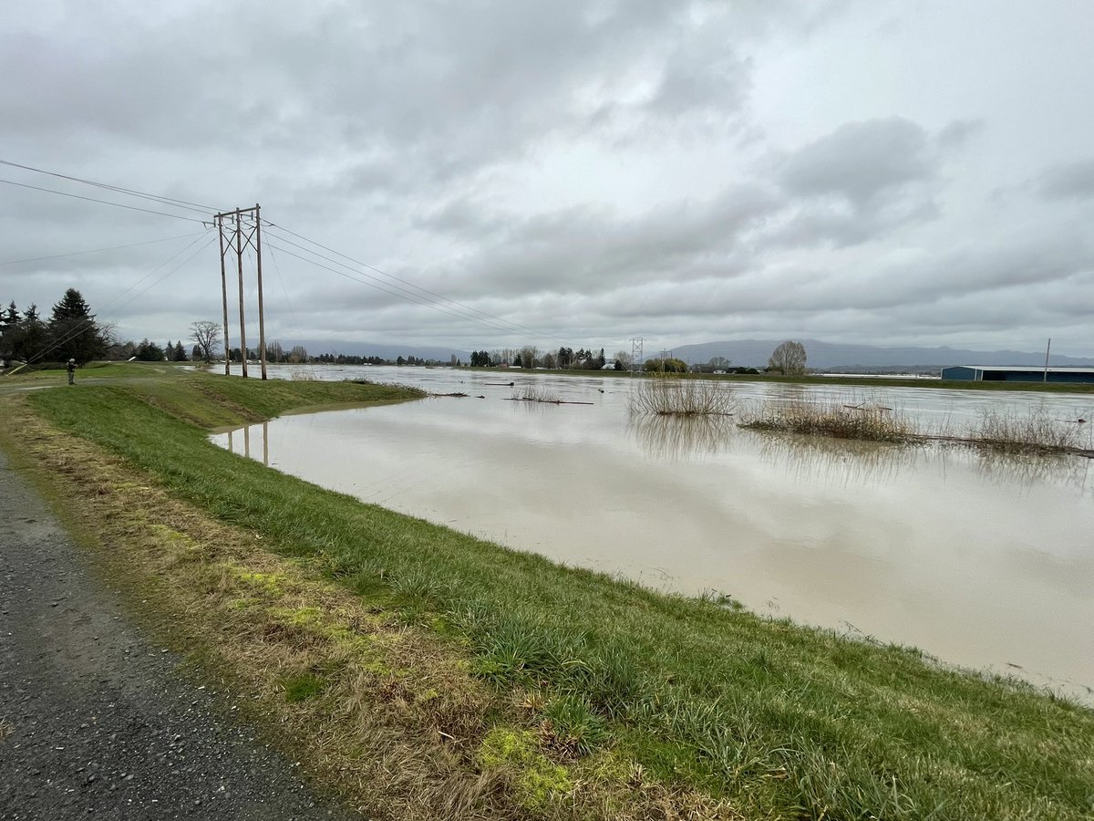 Luke Duecy tweet media