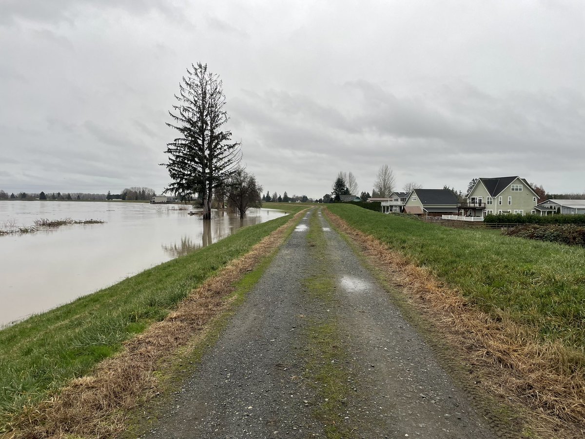 Luke Duecy tweet media