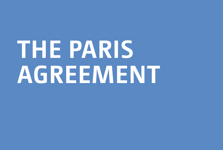 WWF Climate & Energy tweet media