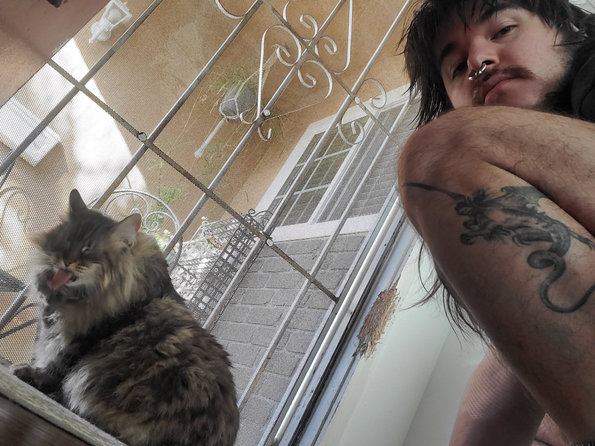 hello from the Guardian of my Domain