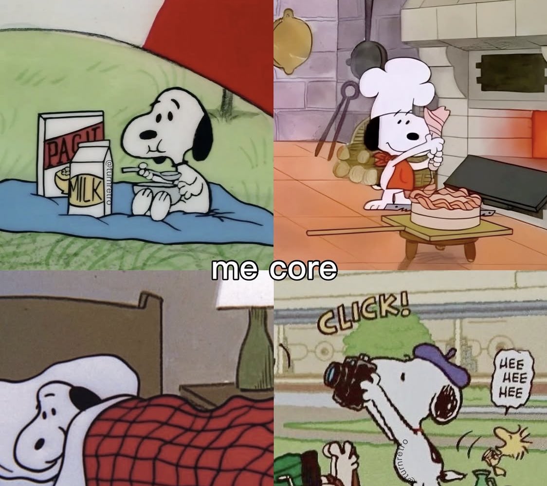 snoopy lover tweet media