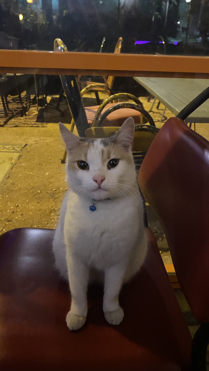 Bana öyle bakma anlayacaklar