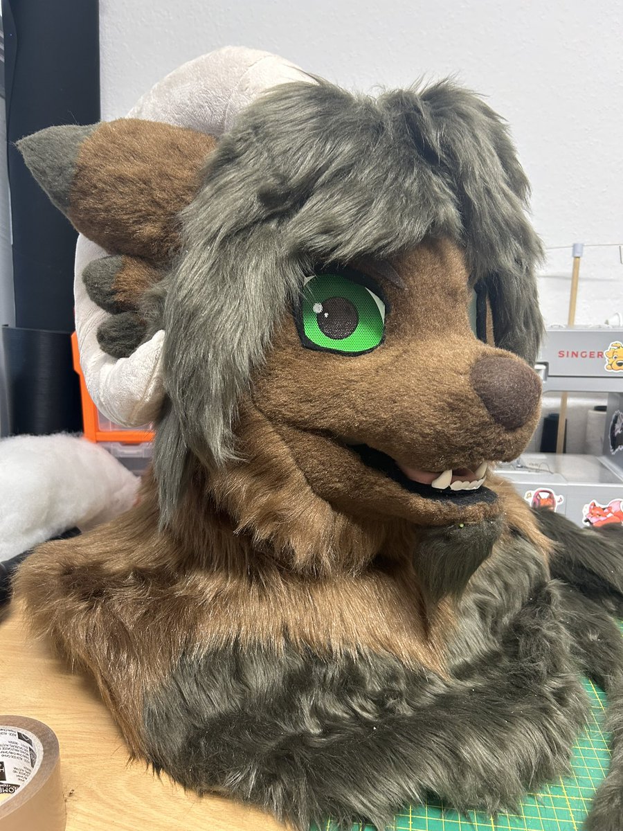 AlphasRedMoon's tweet image. Peparing this puppy with some beautiful locks of hair 🐺🇨🇭✂️🪡🇫🇷

#fursuit #fursuiter #fursuitmaker #fursuiting #fursuitwip #fur #furryfandom #furrys #furryswiss #alphasredmoon #commission #furries #furries4life #furrypride
