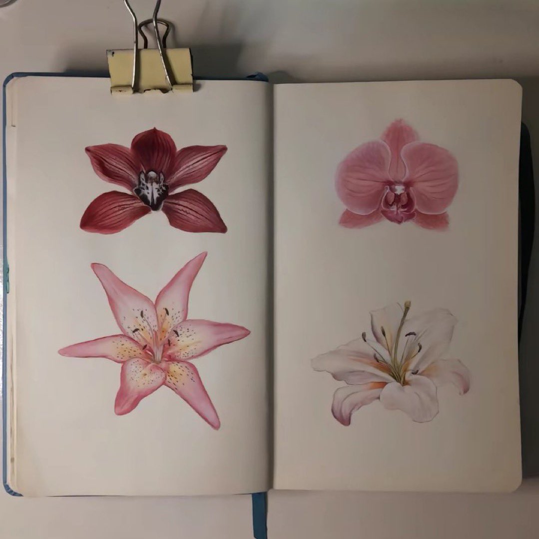 i3Moment's tweet image. 