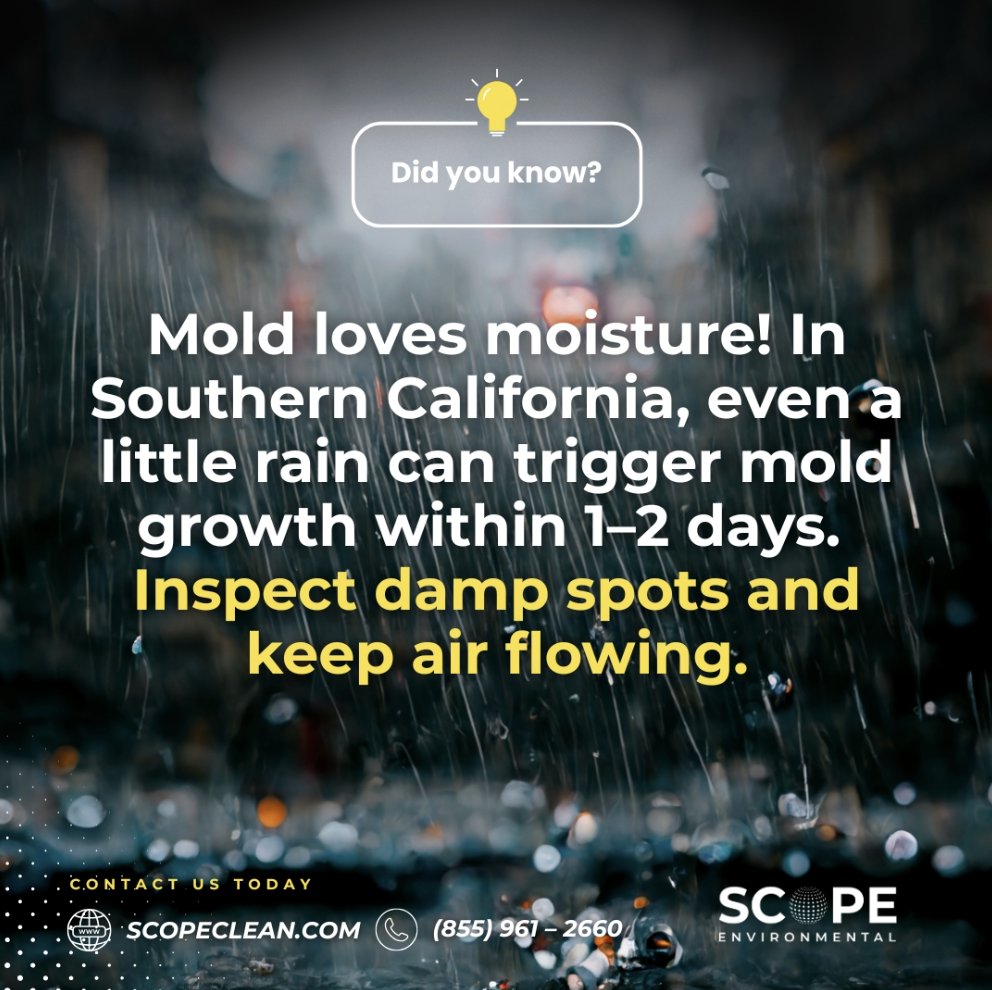 clean_scope's tweet photo. 📷 Mold alert! Just a little rain can trigger growth fast.
If you notice water damage or mold in your home, please contact us right away!
📷: https://t.co/gJUrOGyXKI
📷: (855) 961 – 2660 https://t.co/lpY4qTcCBt