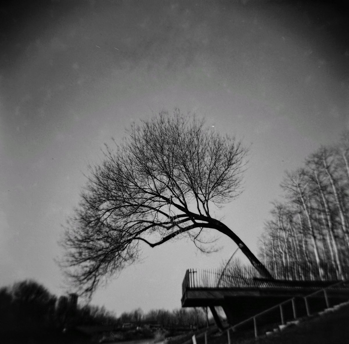 whatever001213's tweet photo. #streetphotography #holga https://t.co/QnmkHqgGDL