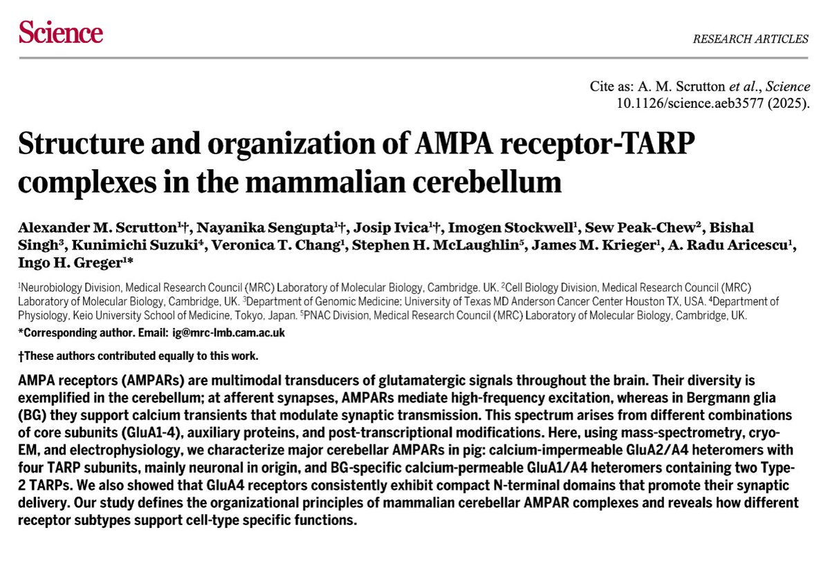 igreger1's tweet image. Last paper this year, thanks to all involved! - AMPA receptors continue to surprise..
science.org/doi/10.1126/sc…