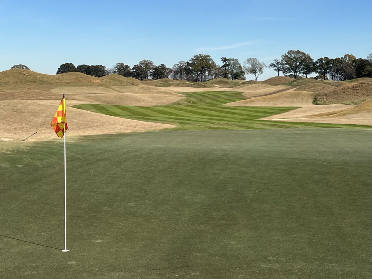 robert wingo tweet media