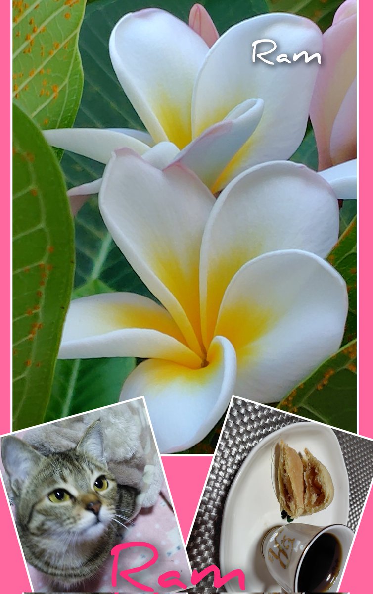 ラム❁.*・゜さん専用 Amazon.co.jp: キューズQ うる星やつら ラム 制服版 1/7スケール PVC製