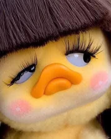 Yo, viendo a los escuálidos celebrar un premio nobel de una psicópata que de paso no vuelve más a Venezuela 

Te gusta así o más sensual?