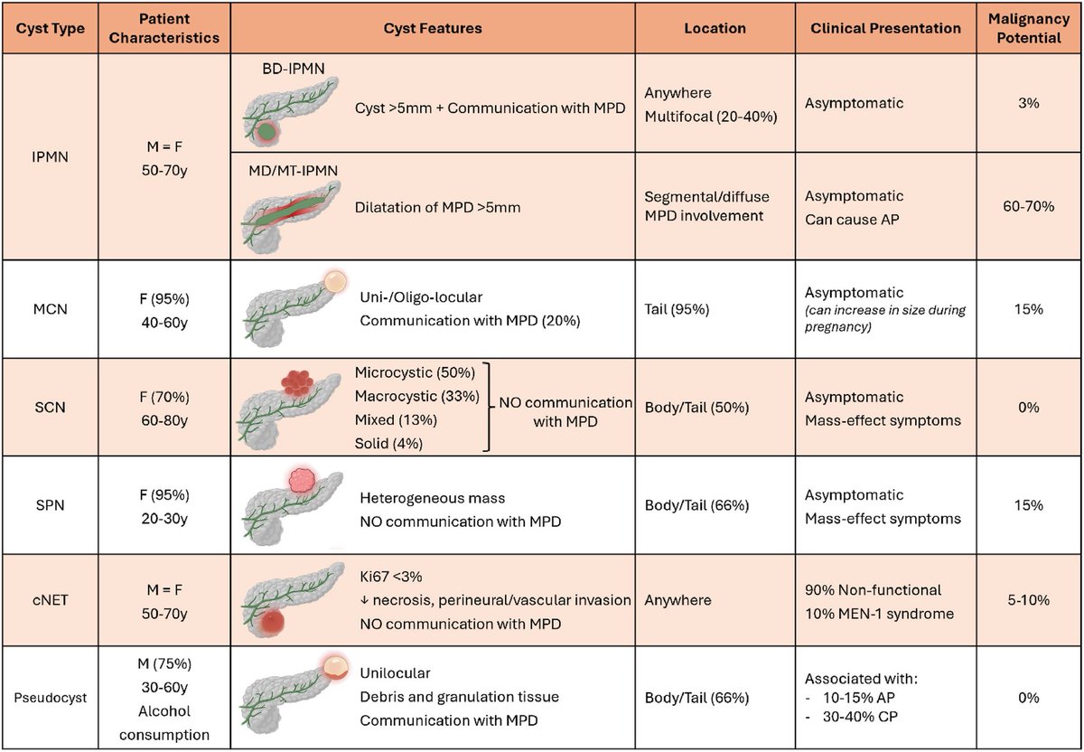 Sara Nikolić tweet media