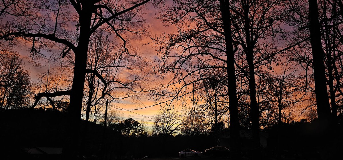 maria griner tweet media