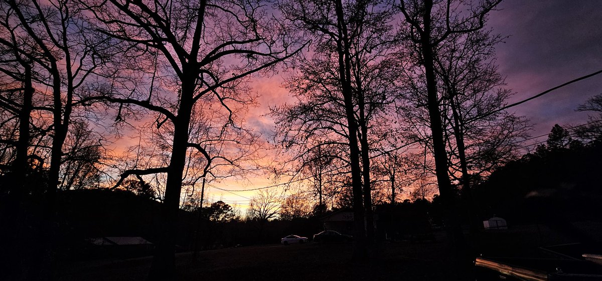 maria griner tweet media