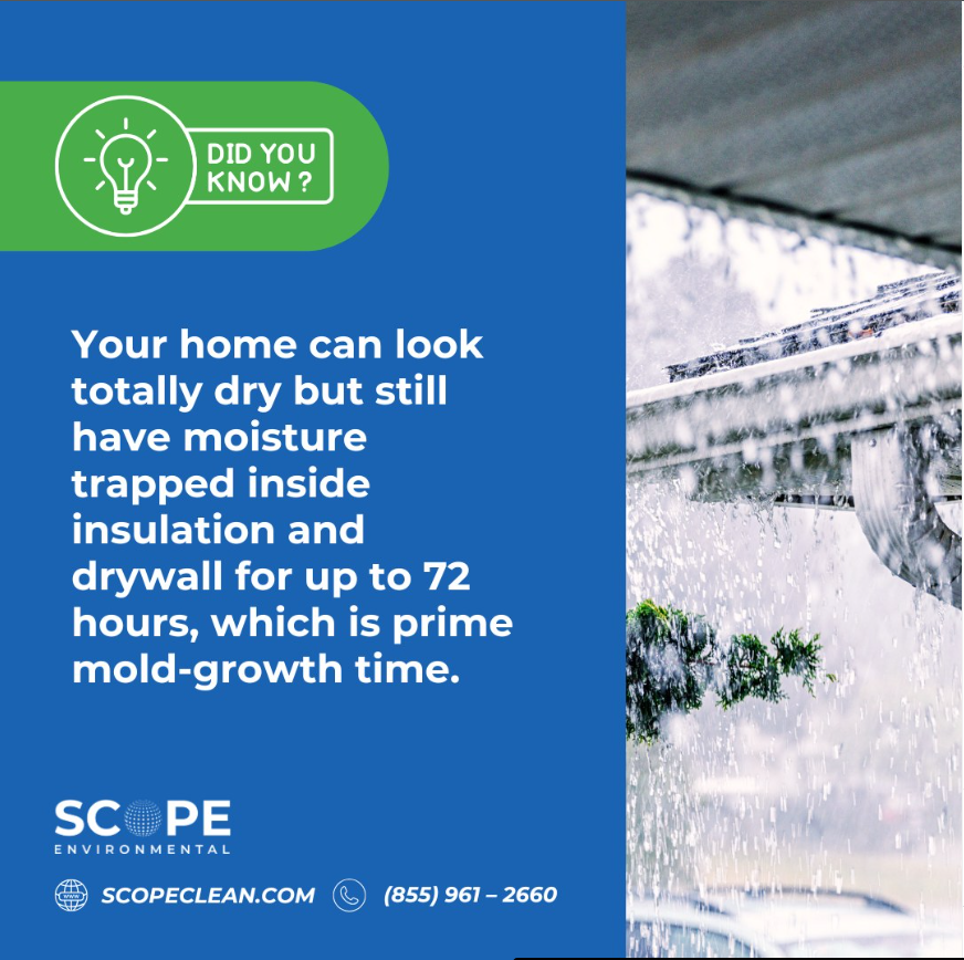 clean_scope's tweet photo. Rain passed? Mold might still be starting. Moisture hides in drywall for up to 72 hours — get a mold inspection before it turns into a bigger problem.

☎️: (855) 961 – 2660

#moldremediation #MoldRemoval #mold https://t.co/q3fNLtRkJF