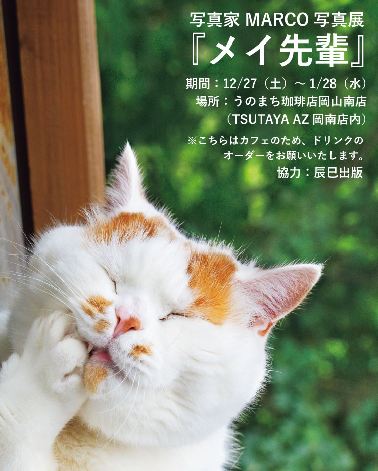 MARCO 🟡写真集「メイ先輩」🟡 (@marco74444) / Posts / X