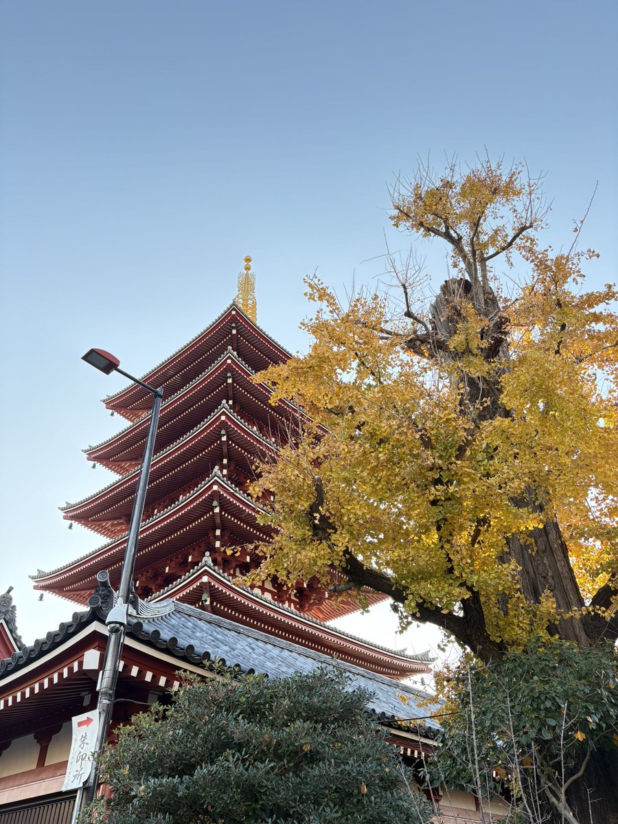 デザフェス
申し込んだみーーーんなの
\¨̮当選祈願¨̮/！！！🙏✨✨✨✨