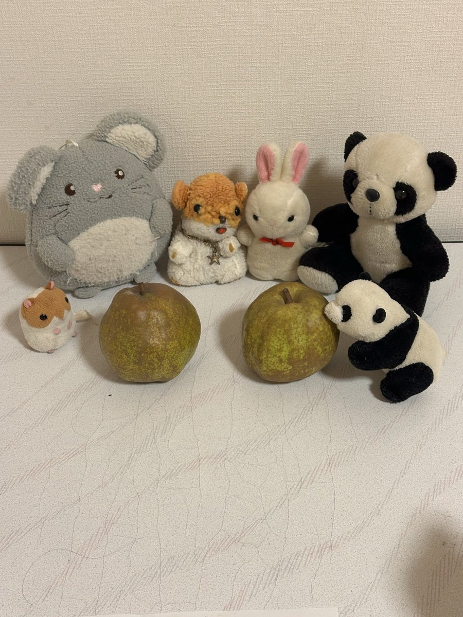 ハムの助 ハムの助 (@nezumitarou86) / Posts / X