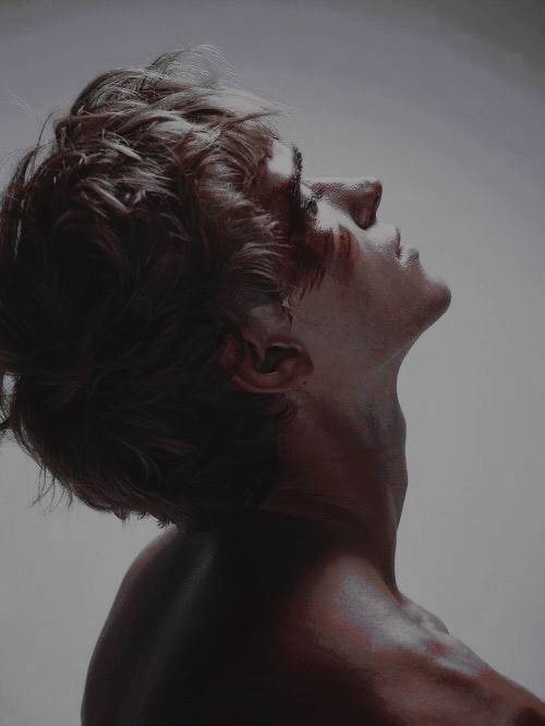 𝗛𝗘𝗖𝗧𝗢𝗥 ( mini hiatus ) tweet media