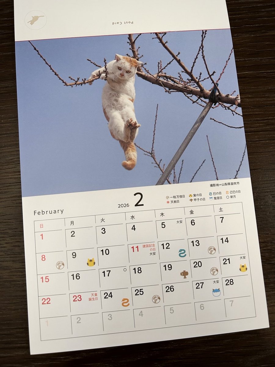 けい様　取り置き中　三毛猫ドラマー　流れ星流れるクローバー畑　Bathroom 来年もたくさんのカレンダーを作ってもらいました。ありがとうござい