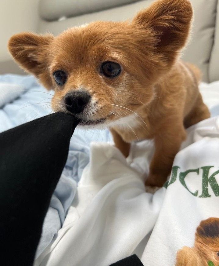 twaniimals's tweet image. 