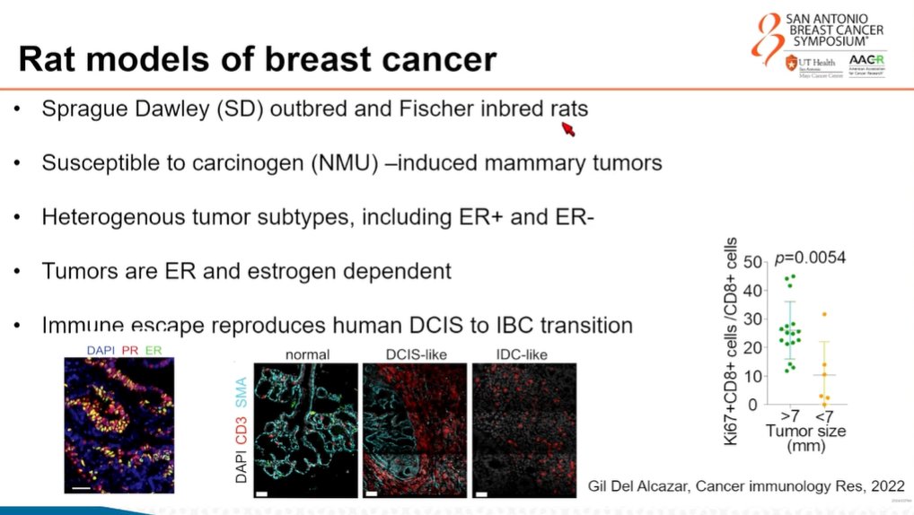Dana-Farber’s Breast Oncology Center tweet media
