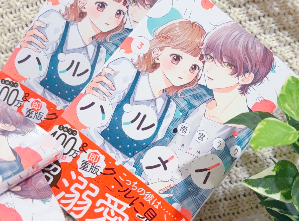 本日ハルメイ3巻発売日です₊ ⊹ アニメイトさんのみイラストカードの