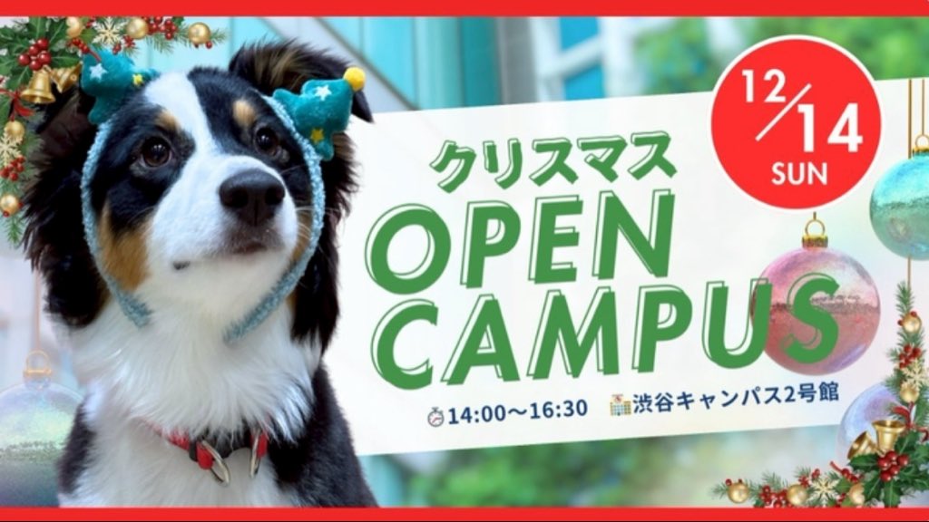 今年も開催👏
12月14日(日)Xmasオープンキャンパス！
実習体験は3つのブースを回って、かわいいモデル犬たちと一緒に、健康チェック、爪切り、ハミガキ、そして動物病院で役立つハズバンダリートレーニングにチャレンジしよう🐶
ケーキとクリスマスプレゼントあり！
senmon.yamazaki.ac.jp/oc/xmasoc2025/
