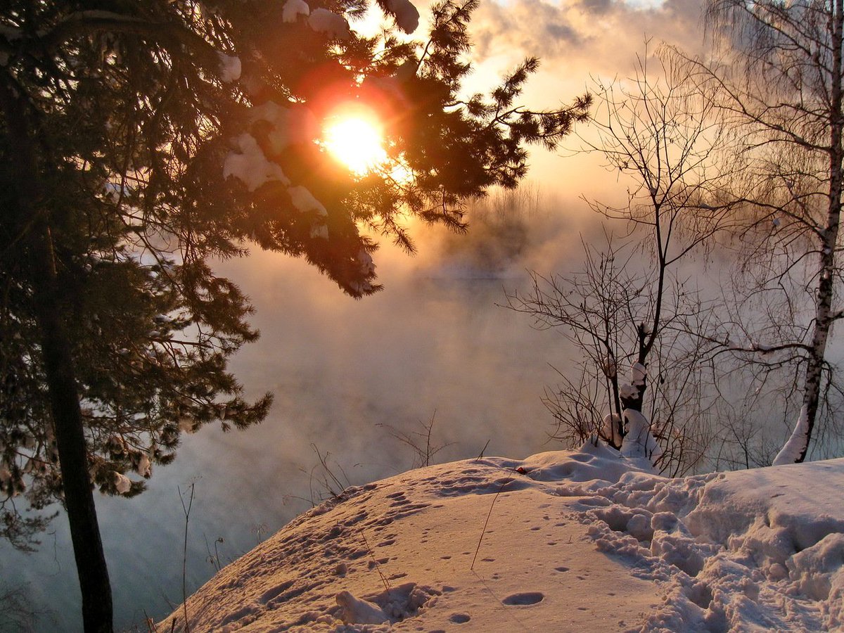 Ольга Тароненко (@otaronenko) on Twitter photo 