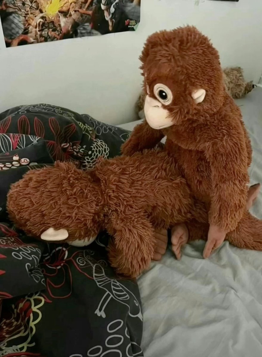 wooo yay there is more leg development that i can notice : -)
second pic is unrelated but I wanted you to see it