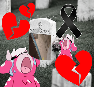 R.I.P. Cortinas de cartón de Andreh 💔💔💔
202X-2025