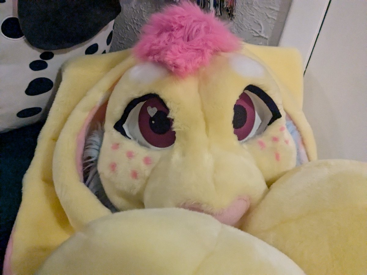 Gauging interest - would anyone consider buying my <a href="/plush_army/">Plush Army @Furpoc</a> Plush suit? 

Knee/leg issues have prevented me from wearing it but it's basically new - worn maybe 4 times total

Thinking of taking offers starting at 5.5k usd