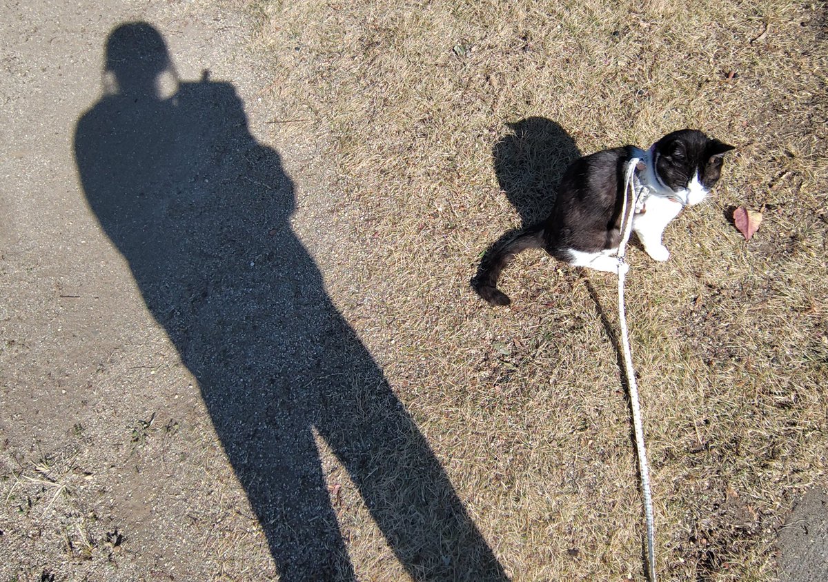 お母にゃん。 歩きスマホはダメﾆｬよ😾 あっ、公園内だからいいのか