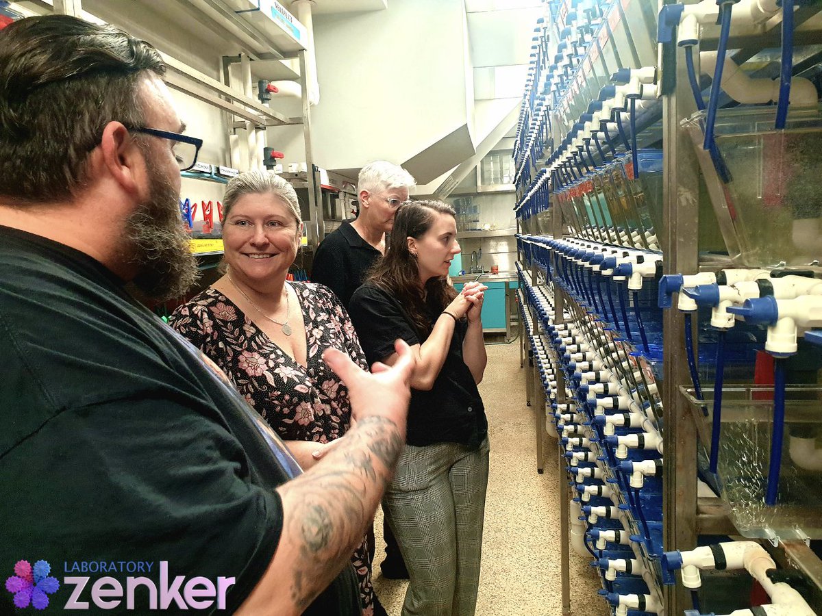 ZenkerLab tweet media