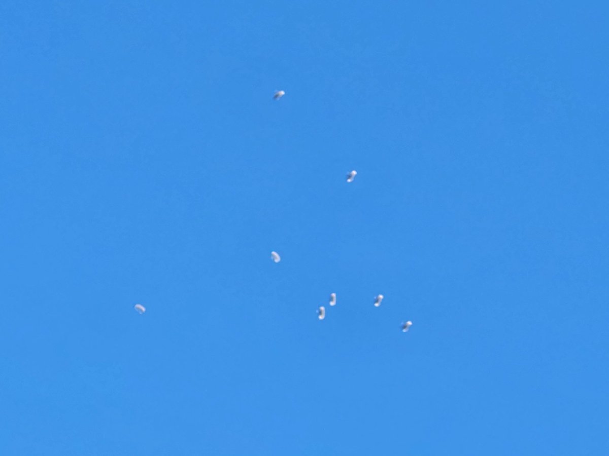 ComputerScrapGuy tweet media