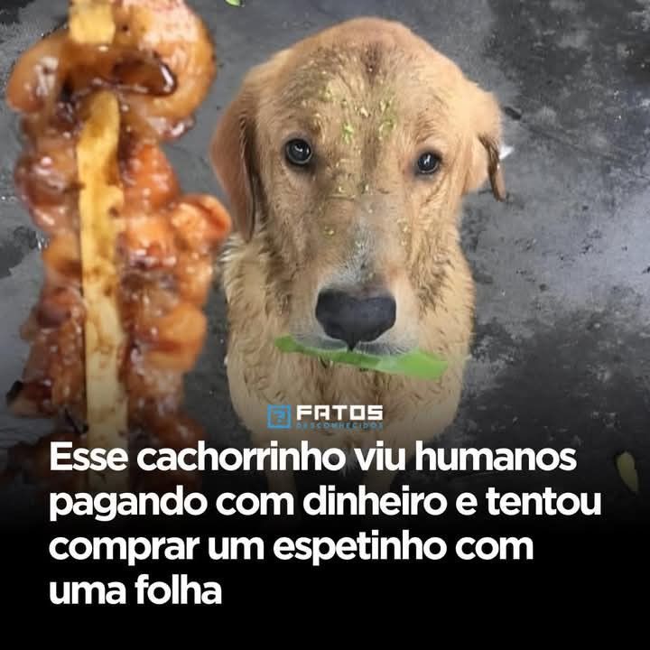 itimaliasof's tweet image. 