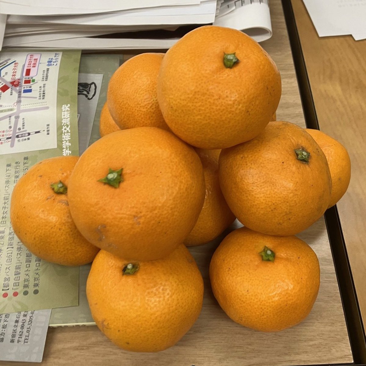 この山が3つ生えていたのだが、2日で若さという魔物に食い尽くされた