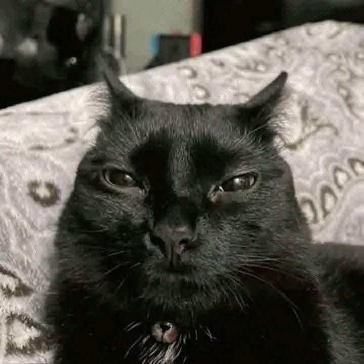 yo viendo la llamada entrante que pronto se va a convertir en llamada perdida