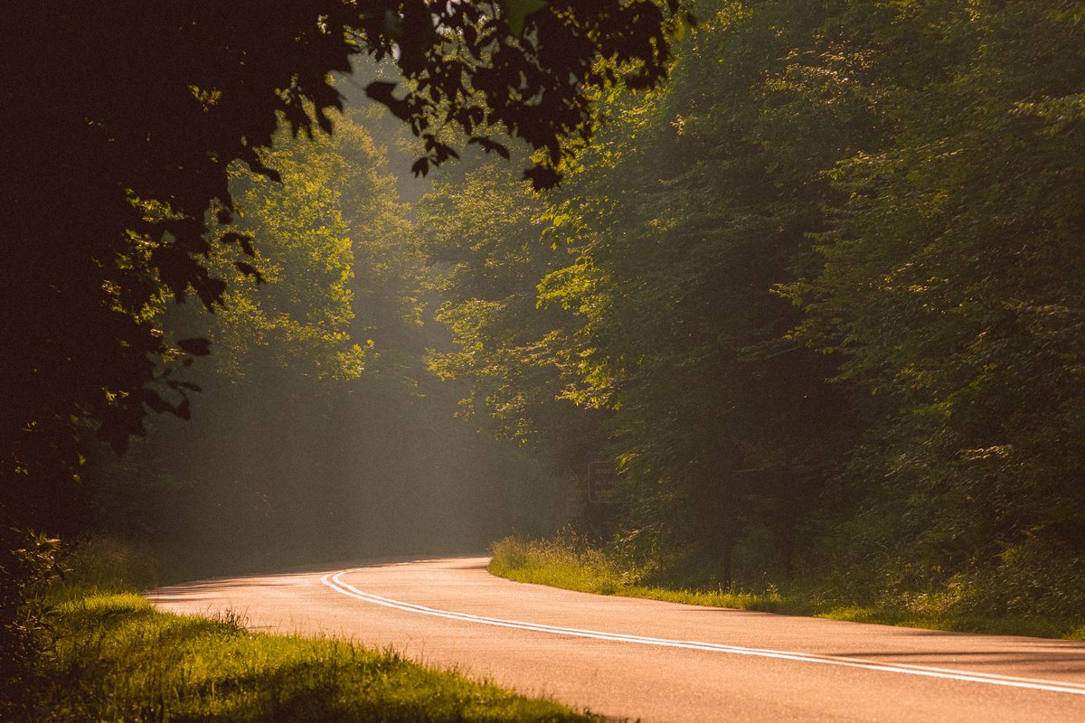 briscoepark's tweet image. a photo i took that felt like summer