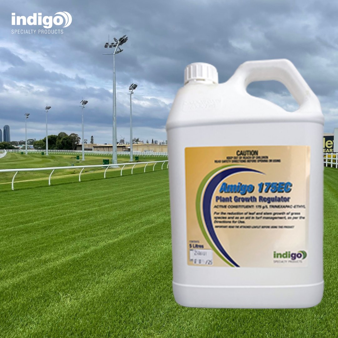 Amigo 175EC is a plant growth regulator containing 175 g/L trinexapac-ethyl, ideal for turf management and industrial vegetation. Its unique adjuvant system improves uptake and rainfastness without petroleum solvents. indigospecialty.com.au