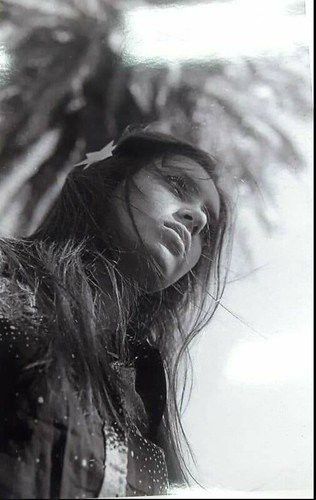 Cristina Kirchner archivo tweet media