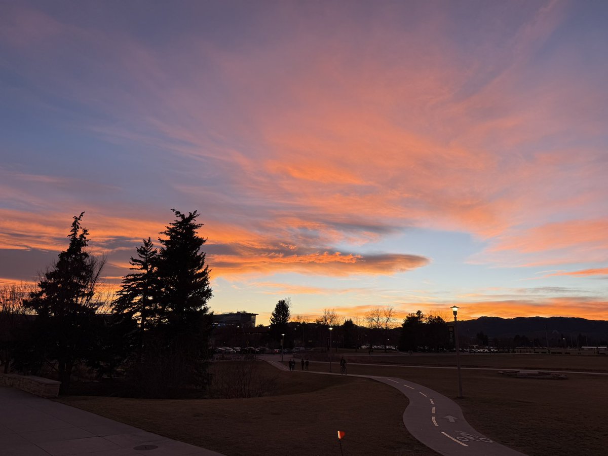 Andrew Canonaco tweet media