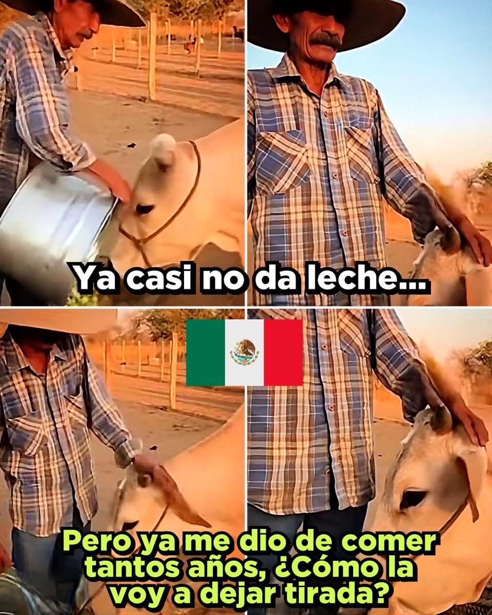 Memes Universidad Nacional tweet media